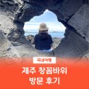북촌환해장성 | 제주 북촌 창꼼바위 가는 길 &amp; 포토스팟 완전 정복