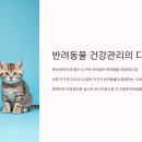 피그헬스동물병원 | 🐾 반려동물 건강관리 필수 앱 BEST