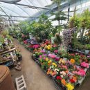 에덴꽃화원 이미지