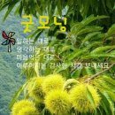 알품는 마을 이미지