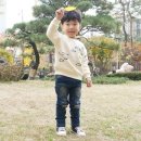 모티구제