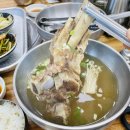 압해쌍룡한우 | [전남 신안] 퍼플섬 가기전에 점심식사하기 좋은 한양 왕갈비탕 내돈내산 후기