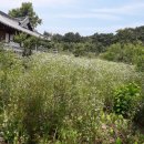 소태면사무소 이미지