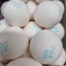 오토오아시스 빅마켓 영등포점 | [롯데마트 맥스] 제품 추천 두 가지, 푸드코트 음식