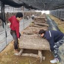 더불어 농장 이미지