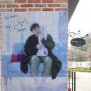펫더제인 - 용인시 기흥구 구성로279번길 2 | 용인 강아지 사진 반려동물 스튜디오 펫더제인 촬영 후기