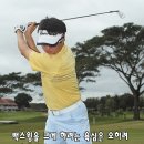 아이언 이미지