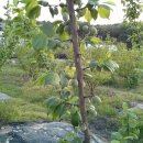 만춘농장 이미지