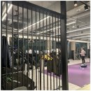 애니타임피트니스 종합운동장점 이미지