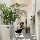 몽그라피 이미지