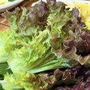 수복찜갈비 이미지