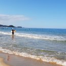 돌고래펜션민박 이미지