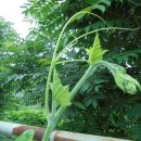 대구해안초등학교 이미지