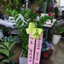 본오3동 주공아파트 이미지