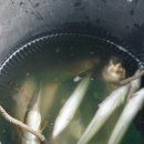 한라산국립공원관음사지구야영장 이미지