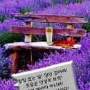 한가정이 해체되는 모습을 보면 이미지