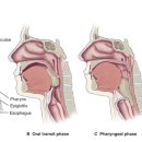 세인요양병원 이미지