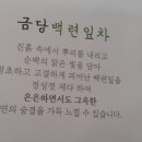 금당백련