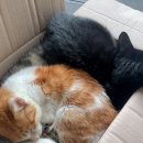 영원하길 바라는 찰나들을 이어 붙이면 영원이 된다