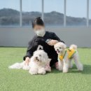 뭉티의 하루 이미지