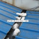목천주유소 이미지
