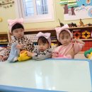 숲속자연어린이집 이미지