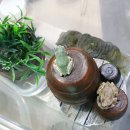 청마루손칼국수전문점 이미지