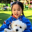 카페놀이터 - 제주시 평화로 2835 | 카페놀이터