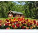 안델센, 동화의나라 이미지