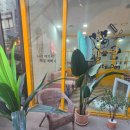 마이독 | 일산애견미용 마이뷰티독 원마운트점에 다녀온 후기입니다