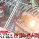 군P.X - 남양주시 | 군P.X