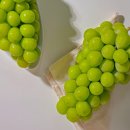 윤채농장 이미지