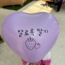 가우농장 이미지