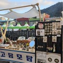 고담 | 고흥 별별마켓 참가 후기｜로컬브랜드 고담모담의 플리마켓 이야기