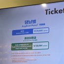 블랙홀 | 제주신화월드에서 도파민 폭발! 비 오는 날에도 신나는 서귀포놀거리 블랙홀엑시트 후기