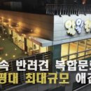 왈왈애견 이미지