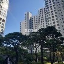 신세계114공인중개사사무소 네이버블로그