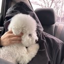 맛나네분식 | 3월🎀