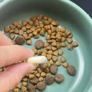 (주)우리메디플러스 이미지