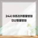 24시아프리카동물병원