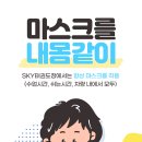 경희대 다산 태권도 이미지