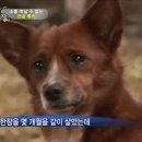 해피 이미지