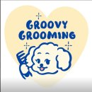 그루비그루밍(Groovy Grooming) | 마음에 드는 청라 애견미용실 그루비그루밍 찾았어요.