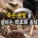 '죽은 관절'을 살리는 약초와 음식들 이미지