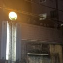 [서울/신림] 노포감성 가득 조선시대 감성 안주 맛집 &#39;동학&#39; 내돈내산 솔직후기