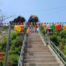 여기대박이네 이미지