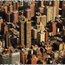 국제부동산중개사무소 이미지