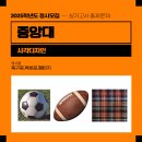 분당네오캣미술학원