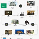 고성공룡박물관야영장 이미지