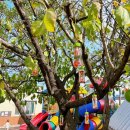 해찬솔어린이집 이미지